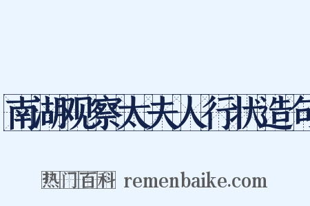 南湖观察太夫人行状造句是什么意思的图片